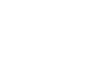 Triangolo White logo